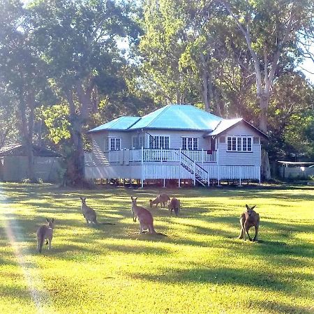 Lake Weyba Noosa Lodge & Kangaroos Peregian Beach Kültér fotó