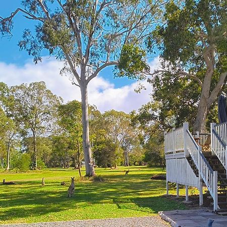 Lake Weyba Noosa Lodge & Kangaroos Peregian Beach Kültér fotó