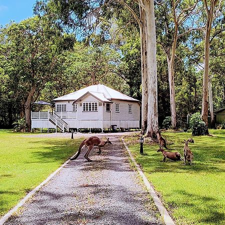 Lake Weyba Noosa Lodge & Kangaroos Peregian Beach Kültér fotó
