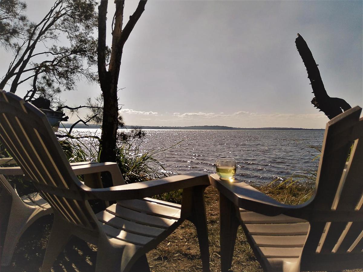 Lake Weyba Noosa Lodge & Kangaroos Peregian Beach Kültér fotó
