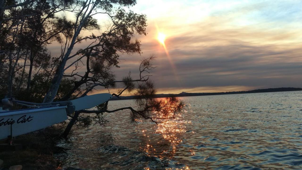 Lake Weyba Noosa Lodge & Kangaroos Peregian Beach Kültér fotó