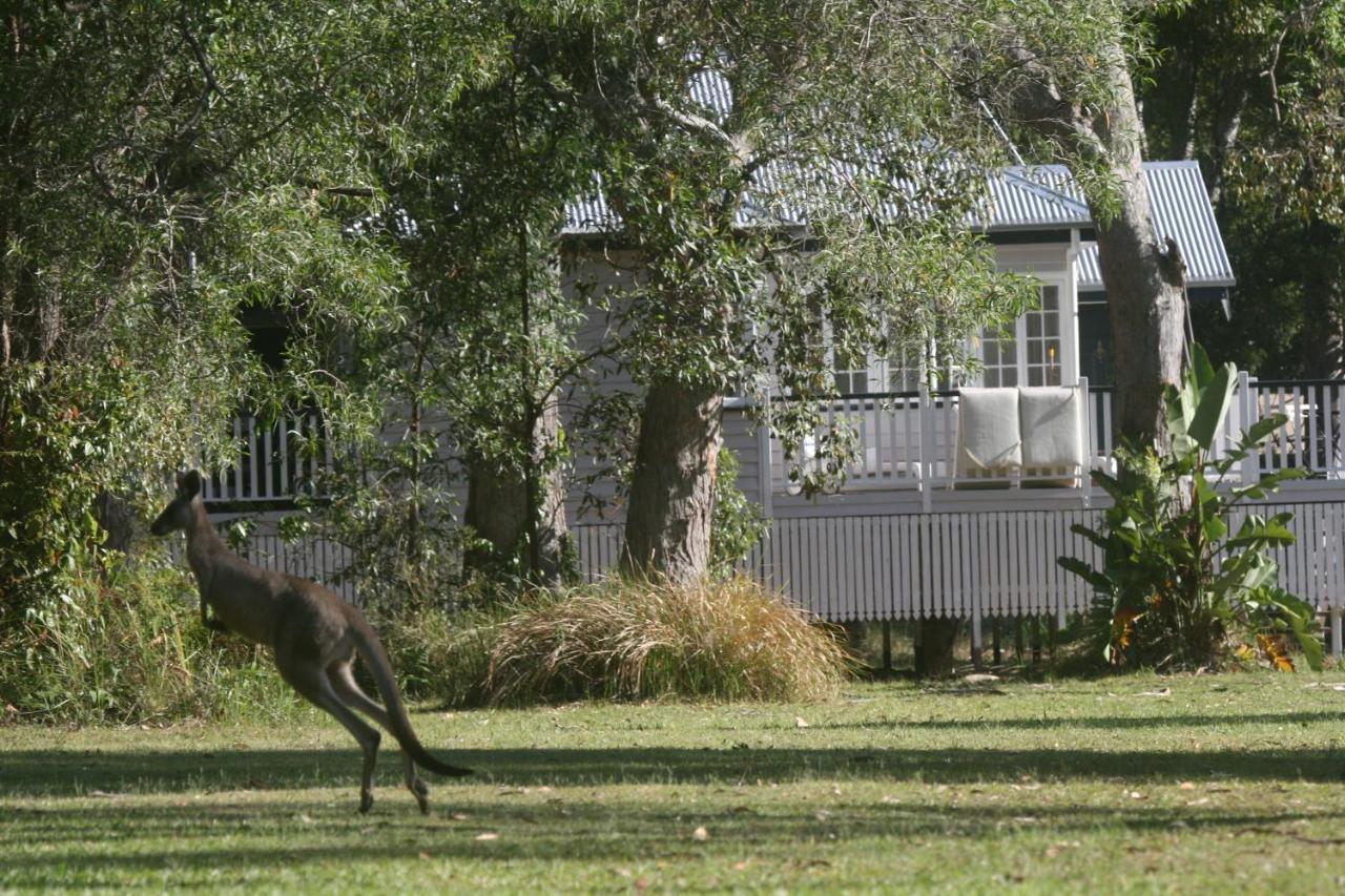 Lake Weyba Noosa Lodge & Kangaroos Peregian Beach Kültér fotó
