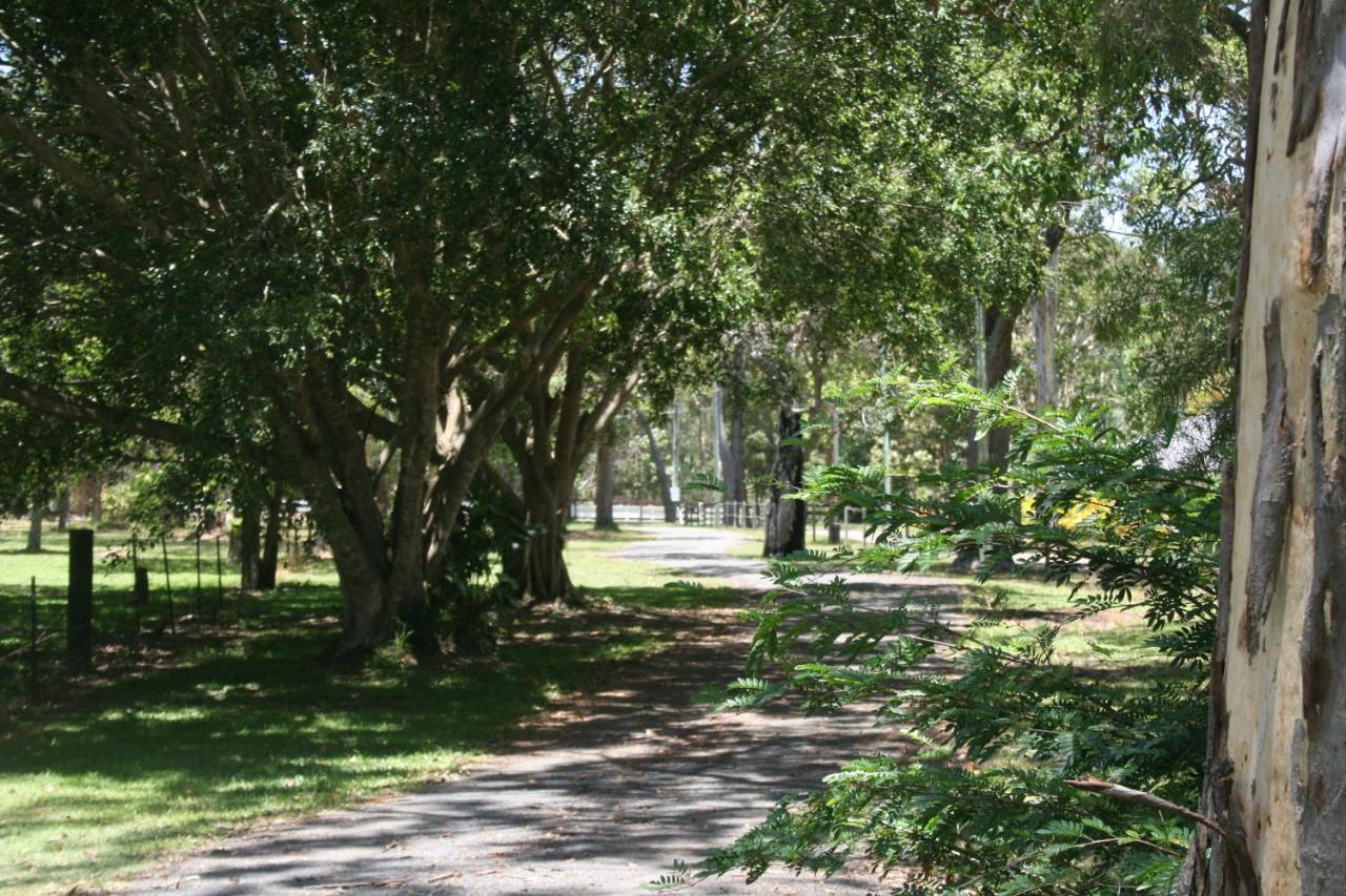 Lake Weyba Noosa Lodge & Kangaroos Peregian Beach Kültér fotó