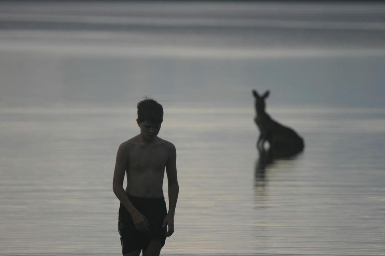 Lake Weyba Noosa Lodge & Kangaroos Peregian Beach Kültér fotó