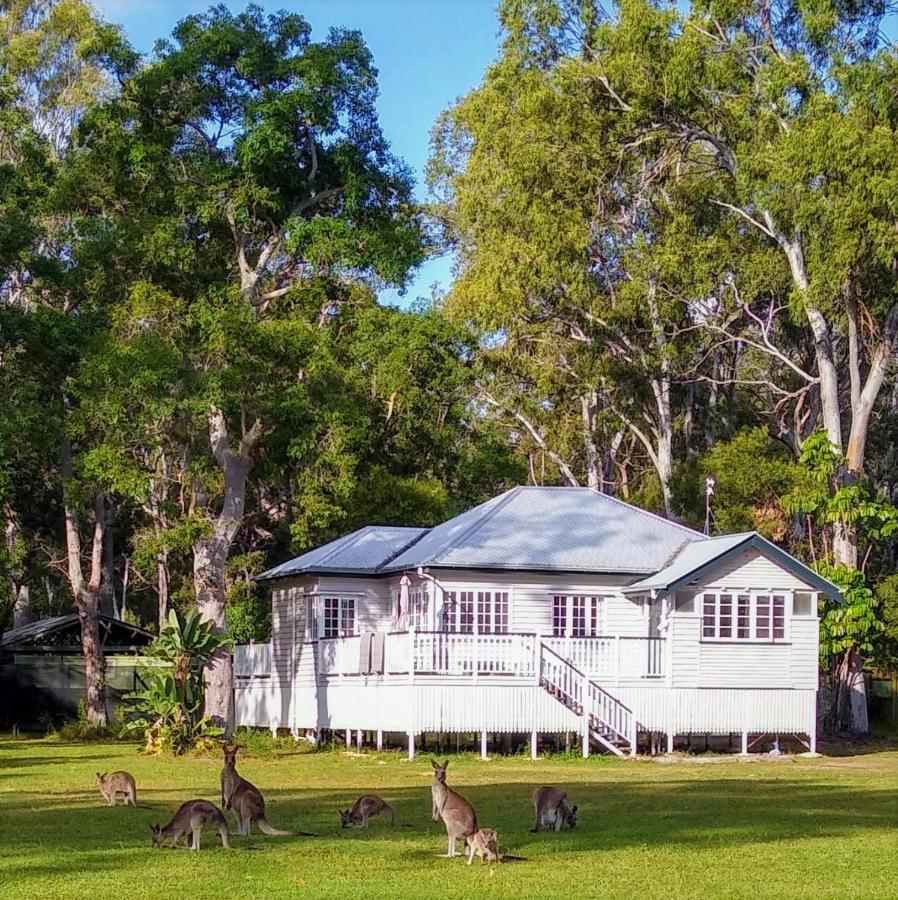 Lake Weyba Noosa Lodge & Kangaroos Peregian Beach Kültér fotó
