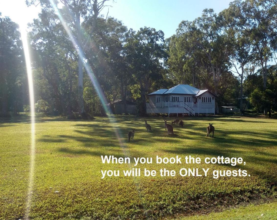 Lake Weyba Noosa Lodge & Kangaroos Peregian Beach Kültér fotó