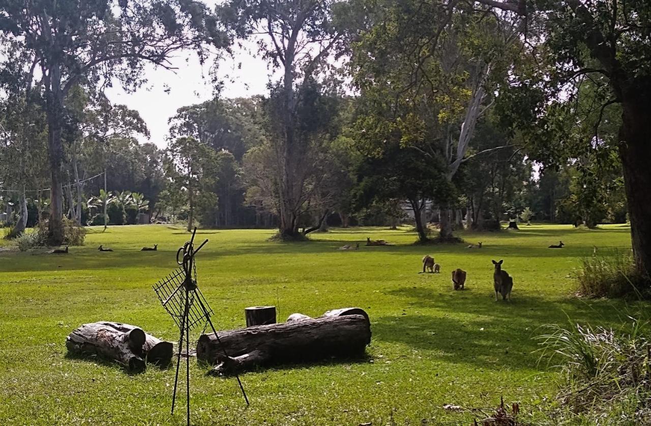 Lake Weyba Noosa Lodge & Kangaroos Peregian Beach Kültér fotó