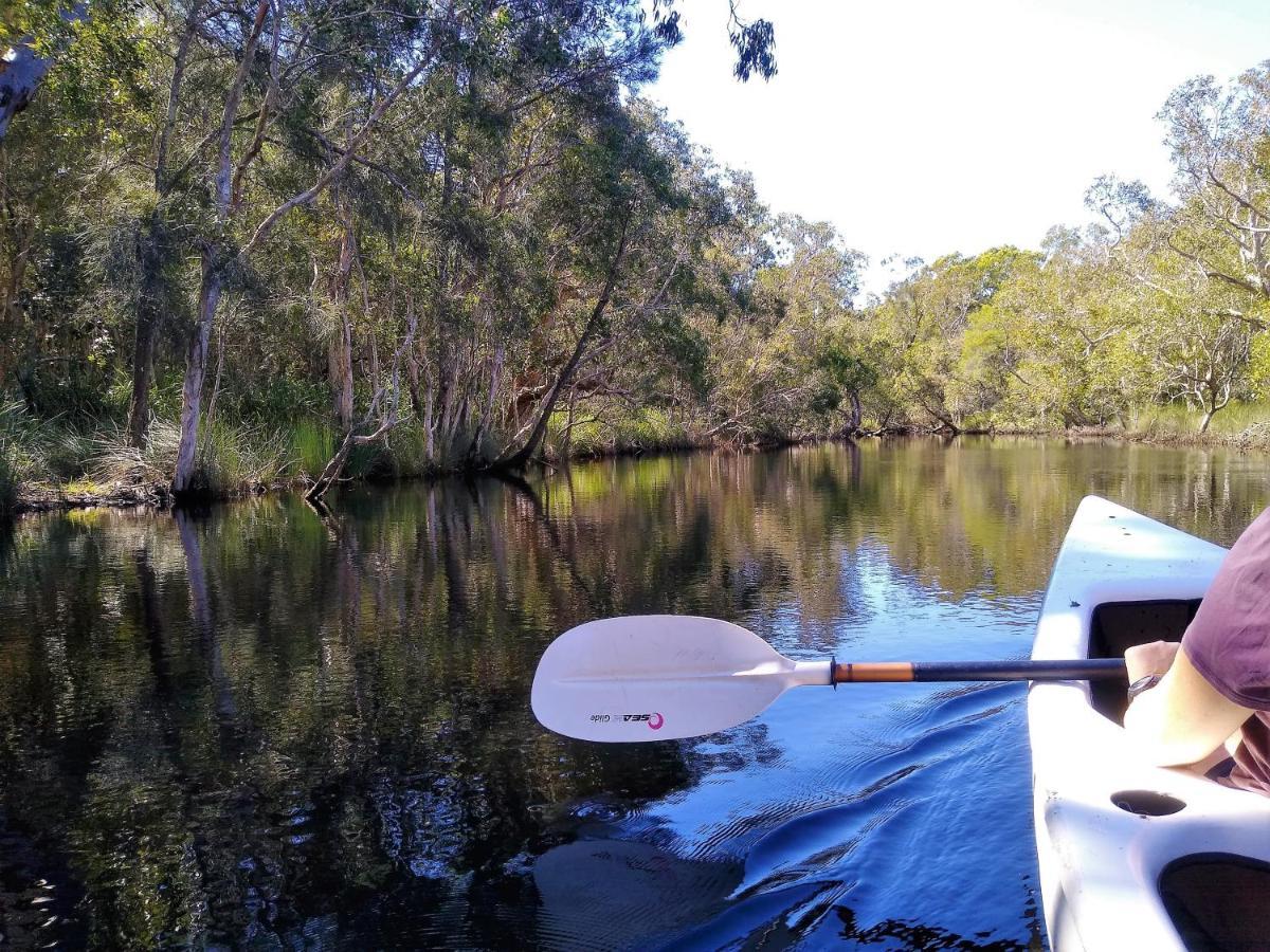 Lake Weyba Noosa Lodge & Kangaroos Peregian Beach Kültér fotó