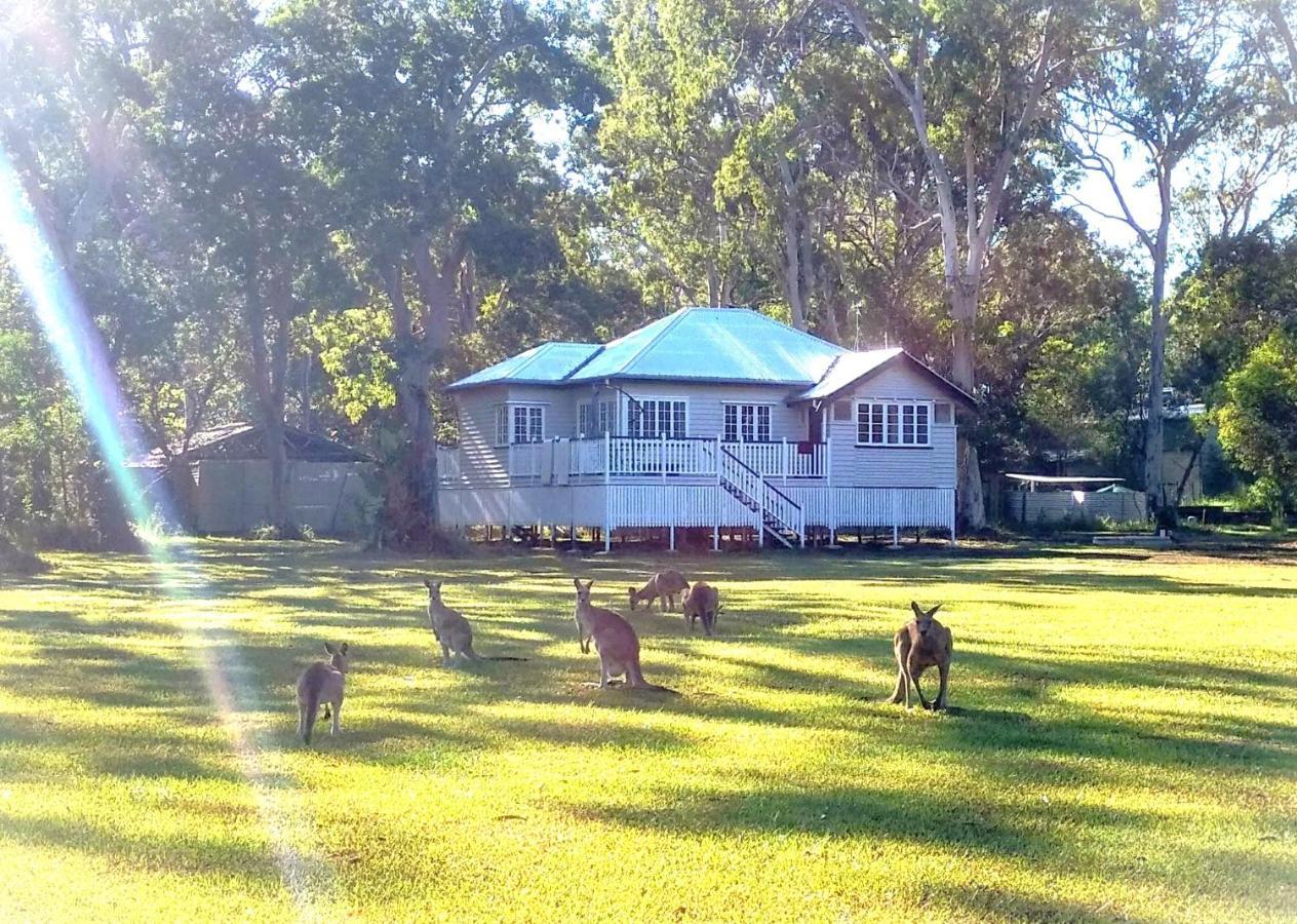 Lake Weyba Noosa Lodge & Kangaroos Peregian Beach Kültér fotó