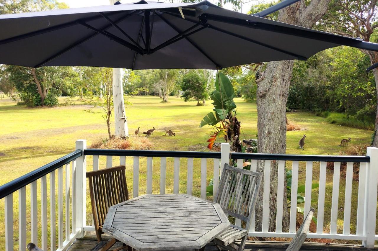 Lake Weyba Noosa Lodge & Kangaroos Peregian Beach Kültér fotó