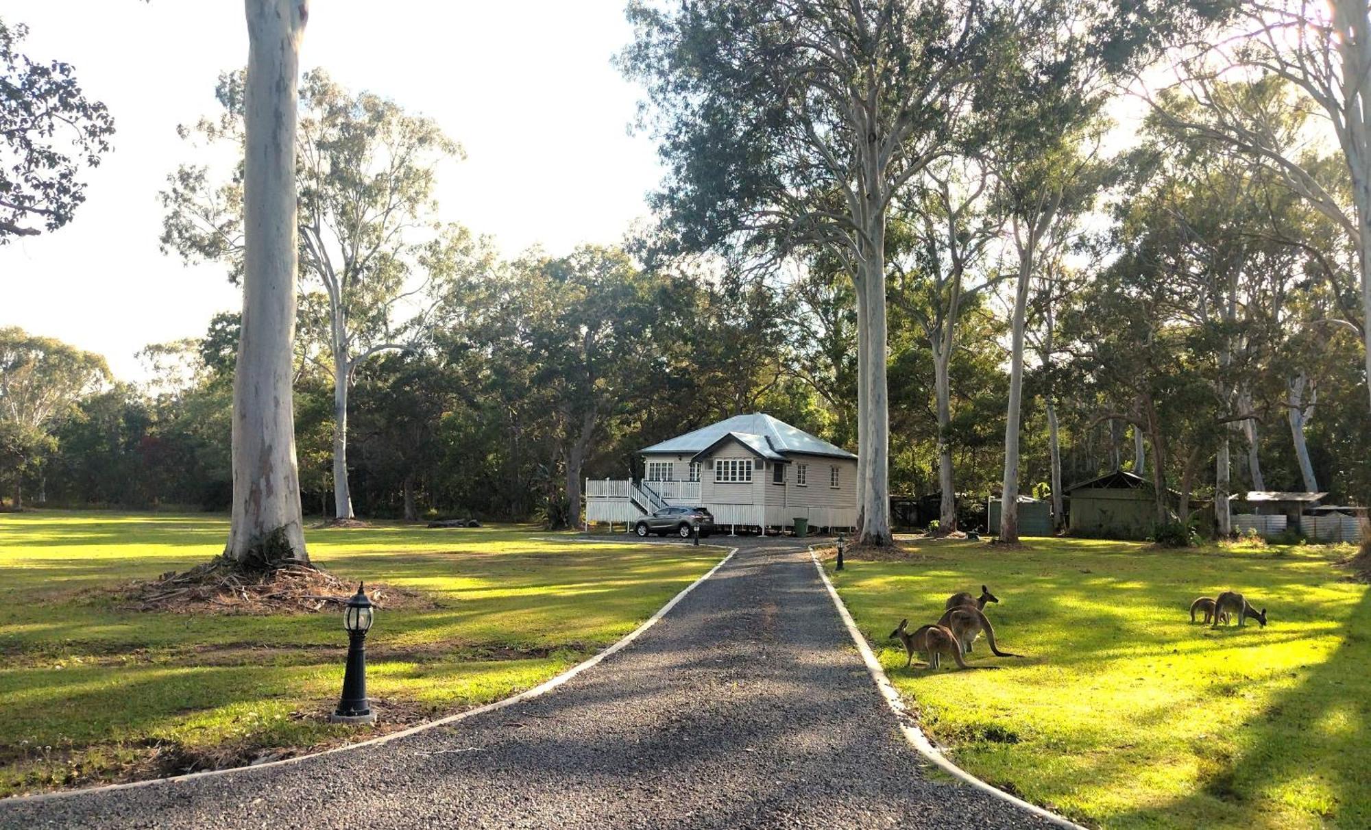 Lake Weyba Noosa Lodge & Kangaroos Peregian Beach Kültér fotó