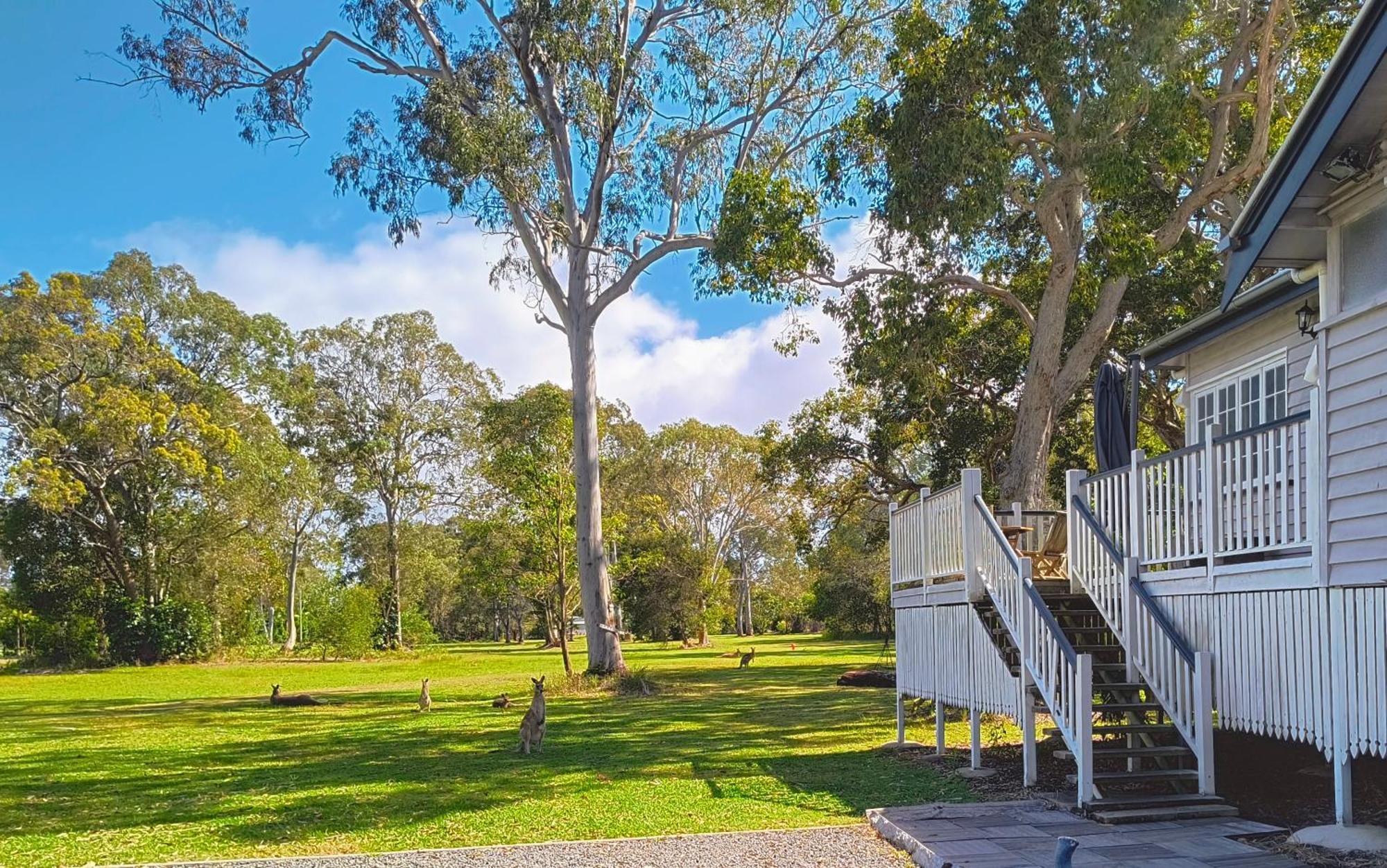Lake Weyba Noosa Lodge & Kangaroos Peregian Beach Kültér fotó
