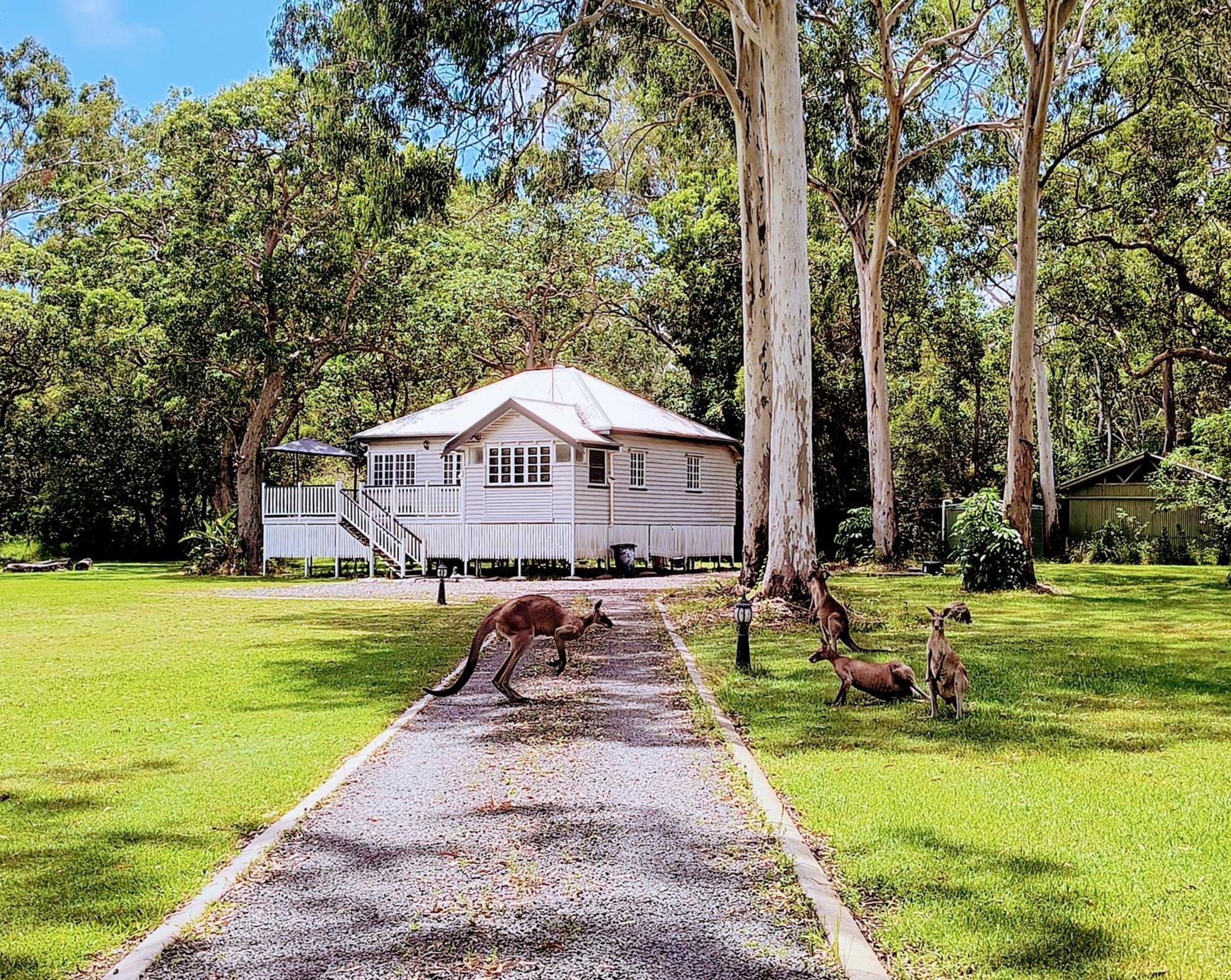 Lake Weyba Noosa Lodge & Kangaroos Peregian Beach Kültér fotó